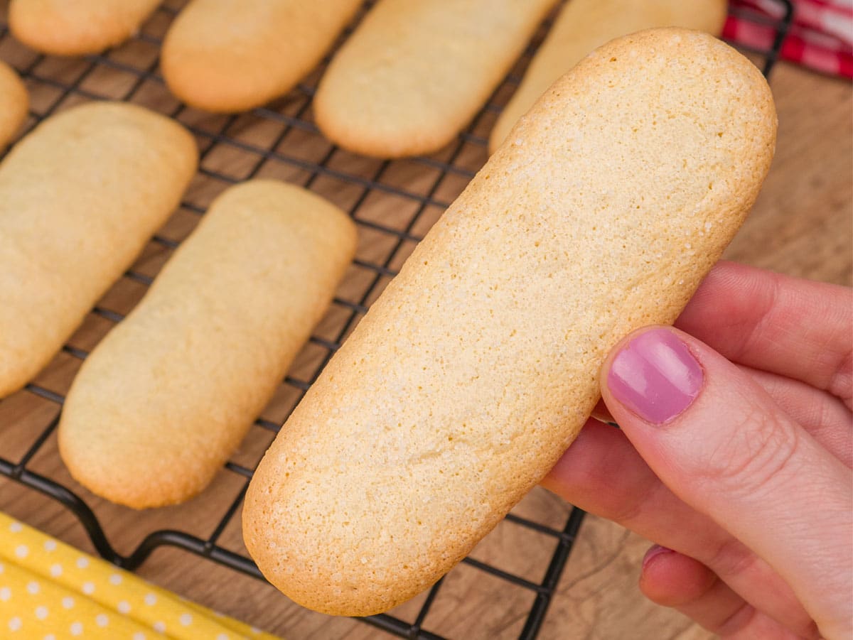 Como fazer Biscoito Champanhe Caseiro