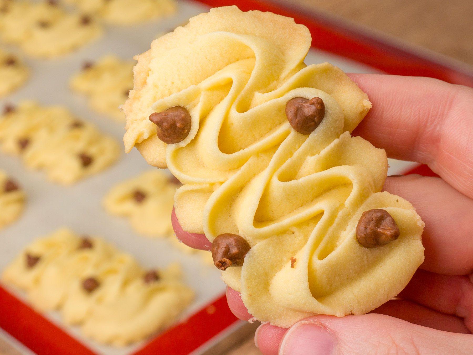 Como fazer Biscoitinho Amanteigado com Gotinhas de Chocolate